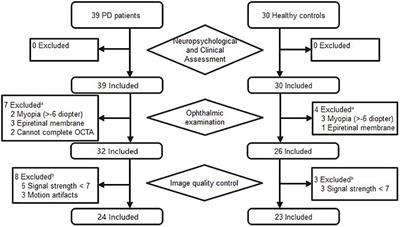 Visual Impairments Are Associated With Retinal Microvascular Density in Patients With Parkinson’s Disease